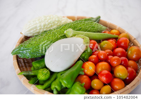 在菜園裡收穫夏季蔬菜（白茄子、番茄、青椒、秋葵、苦瓜、白苦瓜） 105482004