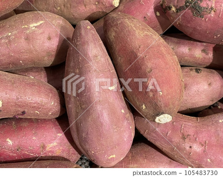 新鮮收穫的地瓜 新鮮收穫的地瓜 105483730