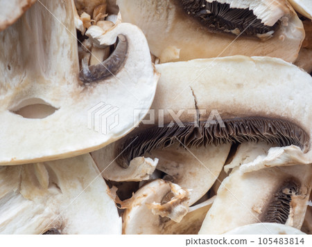Lots of chopped mushrooms. Cooking dishes with mushrooms. Raw chopped mushrooms. Unprepared product. Healthy food for lunch Lots of chopped mushrooms. Cooking dishes with mushrooms. Raw chopped mushrooms. Unprepared product. Healthy food for lunch 105483814