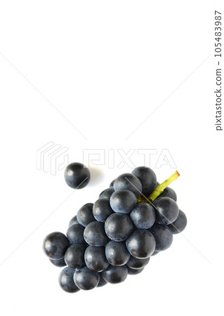 Fresh grapes 105483987