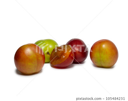 Cherry plum at different stages of maturation. Plum variety. Red and green fruits. Juicy fruit on the table. Compote ingredient Cherry plum at different stages of maturation. Plum variety. Red and green fruits. Juicy fruit on the table. Compote ingredient 105484231