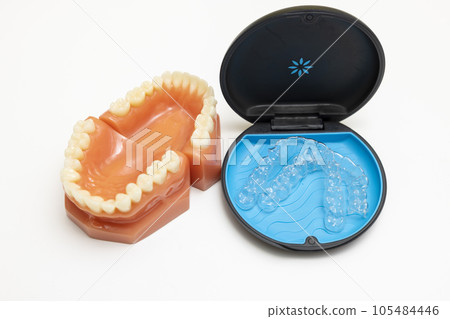 Tooth model and mouthpiece in case Tooth model and mouthpiece in case 105484446