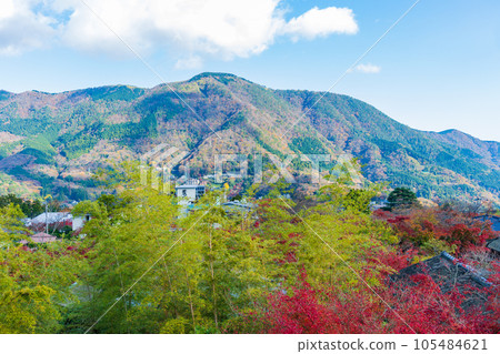 箱根的秋天，日本主要的旅遊目的地之一，箱根紅葉博物館新仙峽 105484621
