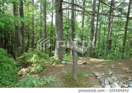 Signpost at the summit of Mt. Honnita (Kawanoriyama to Okutama Station: Okutama Town, Nishitama District, Tokyo) 105484842