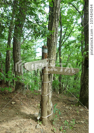 Signpost on the Okyuba Ridge (Mount Nitayama to Okutama Station: Okutama Town, Nishitama District, Tokyo) 105484844
