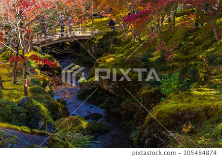 Autumn in Hakone, one of Japan's leading tourist destinations, Hakone Museum of Autumn Leaves Shinsenkyo Autumn in Hakone, one of Japan's leading tourist destinations, Hakone Museum of Autumn Leaves Shinsenkyo 105484874