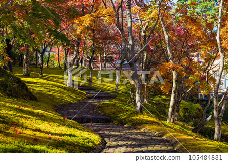 箱根的秋天，日本主要的旅遊目的地之一，箱根紅葉博物館新仙峽 105484881
