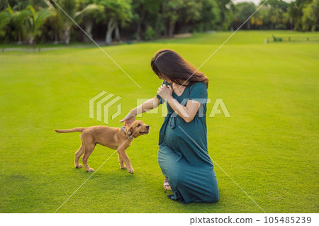 A serene and radiant pregnant woman after 40 and her dog, surrounded by nature's beauty in the park, cherishing the journey of motherhood with a glowing smile 105485239