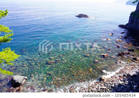 從伊豆高原橋立吊橋眺望的景色 從伊豆高原橋立吊橋眺望的景色 105485434