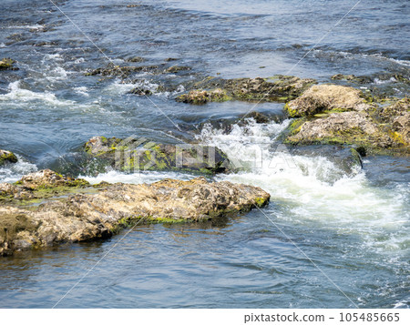 夏天（7月）的加古川（兵庫縣西脅市）。 105485665