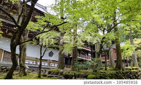 永平寺風景【日本福井】 105485916