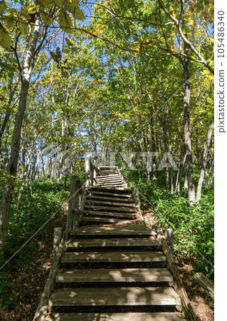 釧路濕地 濕地展望台的木棧道 105486340