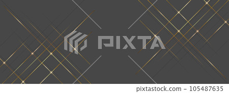 背景 豪華 豪華 金 黑色 105487635