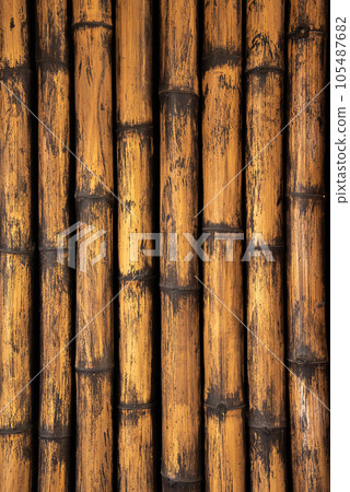 bamboo wall texture or background.   105487682