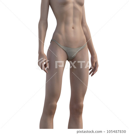 Toned female body Real 3DCG illustration material 105487830