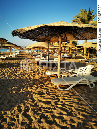 beach in the egypt 105487911
