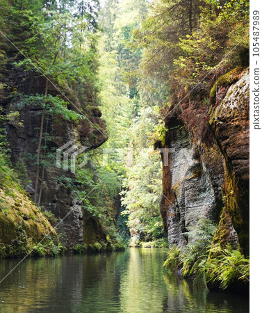 kamenice river from the small ship kamenice river from the small ship 105487989