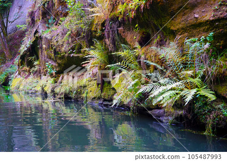 kamenice river from the small ship kamenice river from the small ship 105487993