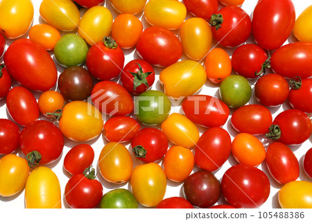 多彩的迷你番茄 105488386