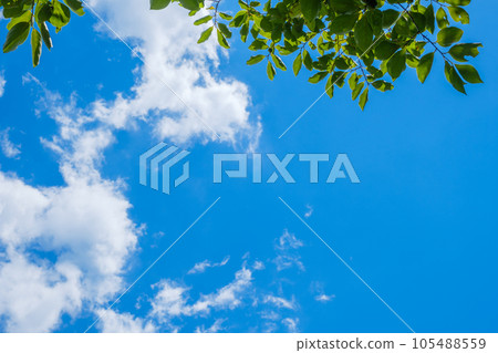 藍天、夏季雲彩和樹木八月的天空 105488559