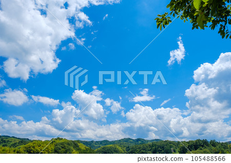 藍天、夏季雲彩和樹木八月的天空 105488566