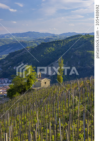 Grand cru vineyard and Chapel of Saint Christopher, Tain l'Hermitage, Rhone-Alpes, France Grand cru vineyard and Chapel of Saint Christopher, Tain l'Hermitage, Rhone-Alpes, France 105488692