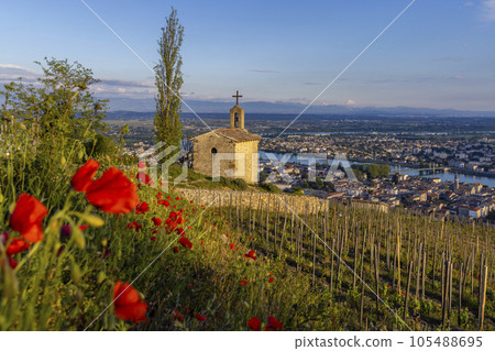 Grand cru vineyard and Chapel of Saint Christopher, Tain l'Hermitage, Rhone-Alpes, France 105488695