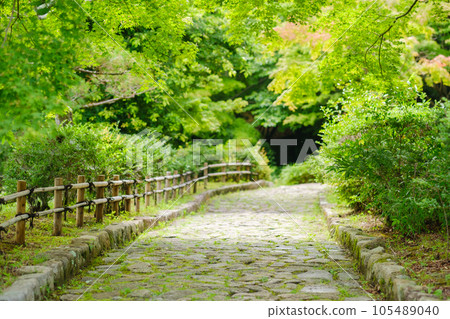 日式庭園人行道、日式庭園散步、觀光 日式庭園人行道、日式庭園散步、觀光 105489040
