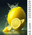Lemon  105489209
