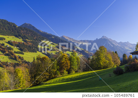 Typical landscape near Sankt Gerold and Bludenz, Bregenzer Wald, Bregenz district, Vorarlberg, Austria 105489761