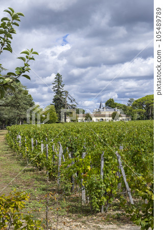 Typical vineyards (1er Grand Cru Classe A) near Chateau Cheval Blanc, Saint-Emilion, Aquitaine, France Typical vineyards (1er Grand Cru Classe A) near Chateau Cheval Blanc, Saint-Emilion, Aquitaine, France 105489789
