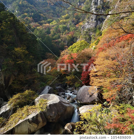 Shosenkyo Autumn leaves Autumn scenery 105489809