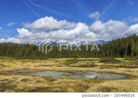 Landscape in Triglavski national park, Slovenia 105490016