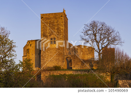Brancion castle (Chateau de Brancion), Martailly-les-Brancion, Burgundy, France 105490069