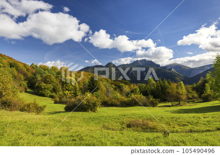 Autumn landscape in Mala Fatra National Park with Velky Rozsutec peak, Slovakia Autumn landscape in Mala Fatra National Park with Velky Rozsutec peak, Slovakia 105490496