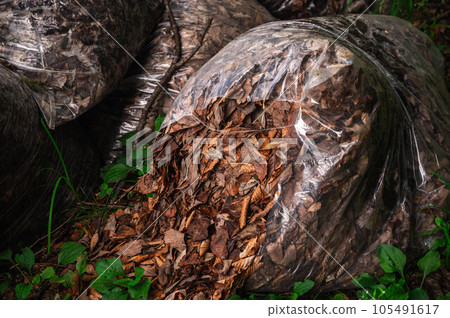 A dead leaf bursting out of a plastic bag 105491617