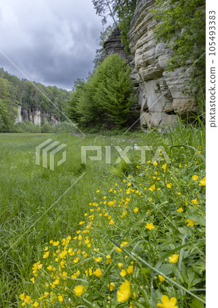 Nature reserve Udoli Plakanek near Kost castle, Eastern Bohemia, Czech Republic 105493383