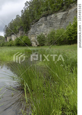 Nature reserve Udoli Plakanek near Kost castle, Eastern Bohemia, Czech Republic 105493385