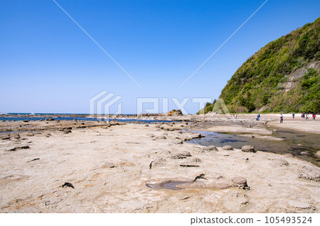 從馬背上眺望石見榻榻米浦千疊敷風景 島根縣濱田市 從馬背上眺望石見榻榻米浦千疊敷風景 島根縣濱田市 105493524