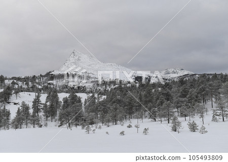 Arctic Norway in Winter 105493809