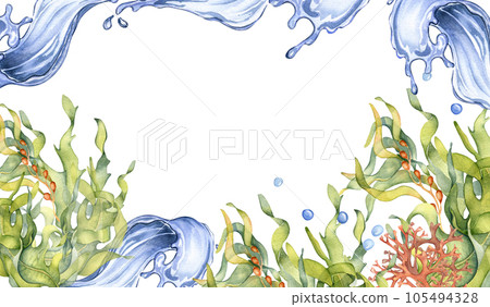 Board of green sea plants and water splash watercolor illustration isolated on white. Laminaria, brown kelp, red seaweed hand drawn. Design element for package, label, advertising, marine collection 105494328