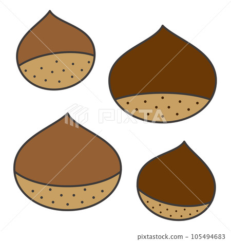 Simple and cute chestnut illustration set Simple and cute chestnut illustration set 105494683