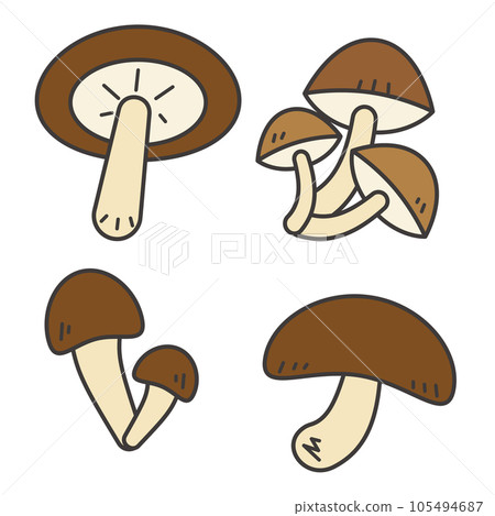 Illustration set of simple and cute shiitake mushrooms and mushrooms Illustration set of simple and cute shiitake mushrooms and mushrooms 105494687