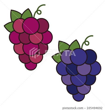 一組簡單可愛的葡萄插畫 105494692