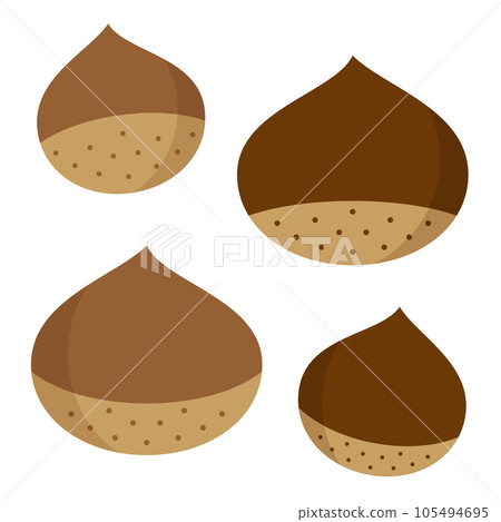 Simple and cute chestnut illustration set No main line 105494695