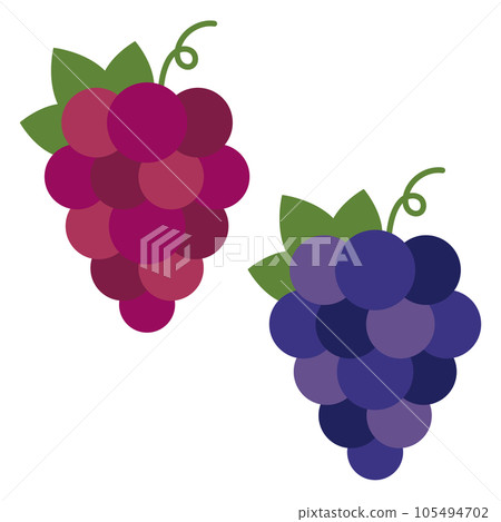 Illustration without main line of simple and cute grapes Illustration without main line of simple and cute grapes 105494702
