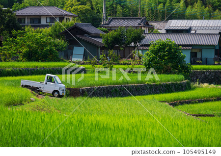 輕型卡車停靠在中野梯田的梯田 輕型卡車停靠在中野梯田的梯田 105495149