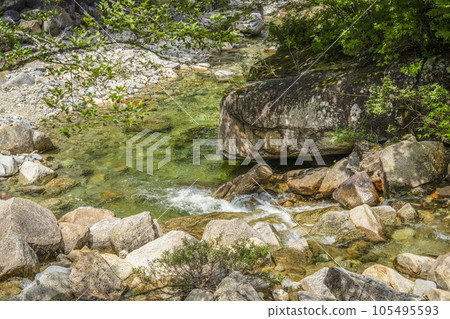 A clear stream flowing through the Akazawa Natural Recreation Forest 105495593