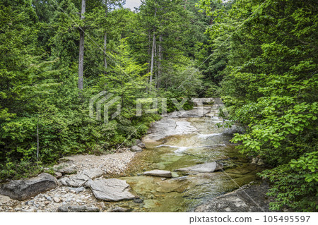 A clear stream flowing through the Akazawa Natural Recreation Forest 105495597