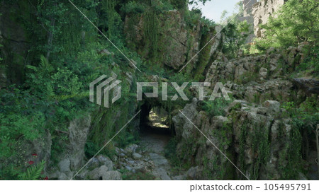 A scenic tunnel surrounded by lush vegetation in a tropical jungle A scenic tunnel surrounded by lush vegetation in a tropical jungle 105495791